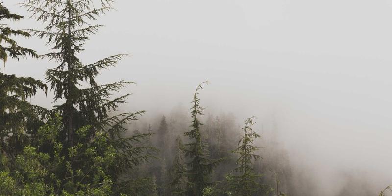 AI赋能PCB检测革命：优化AOI算法提升电子元器件可靠性与环境测试精度