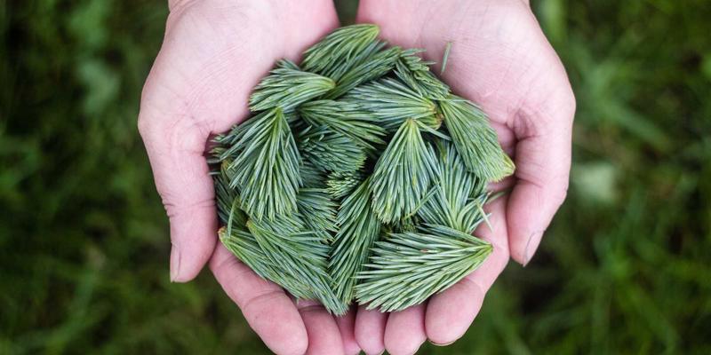 MEMS传感器性能检测与校准全解析：优科检测电子助您构建精密测试平台