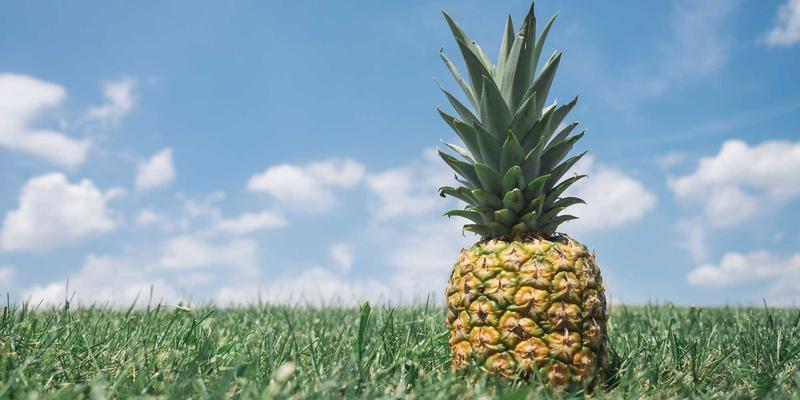 电子元器件可靠性保障：优科检测电子如何通过环境测试筑牢质量防线