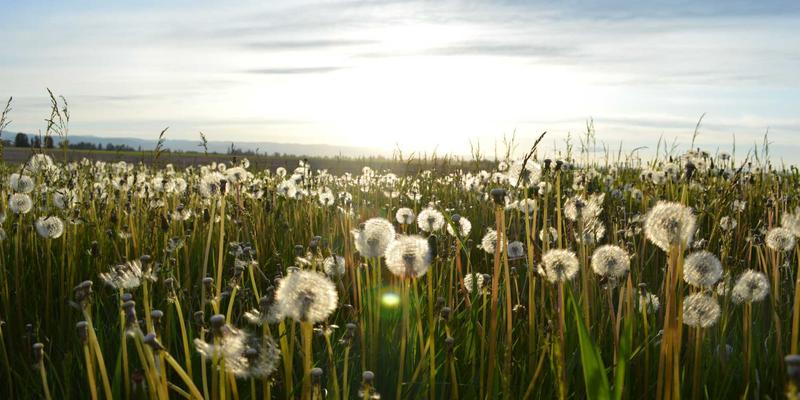 电子元器件检测56：可靠性测试与认证的核心实践指南