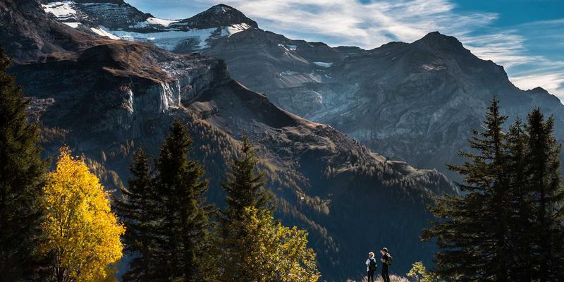 电子元器件检测与认证：保障产品安全与可靠性的核心防线