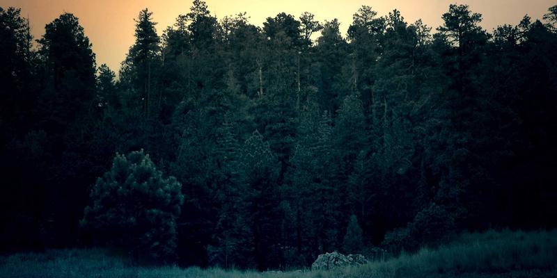 电子元器件检测与认证关键：深度解析MEMS器件性能测试，从动态特性到环境适应性