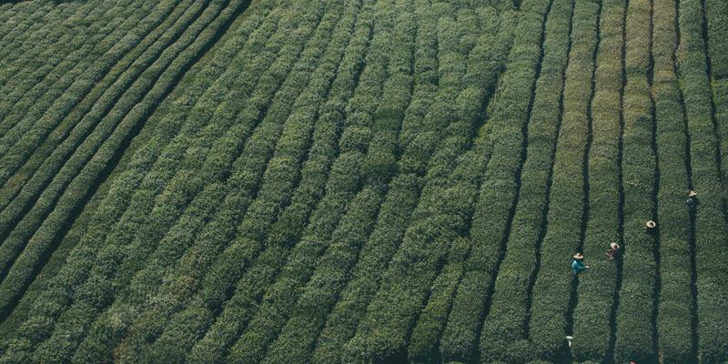 电子元器件检测：可靠性测试与认证的核心指南