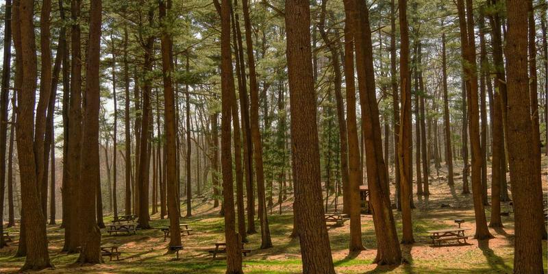 电子元器件检测实验室的CNAS与CMA资质认证：流程详解与市场价值