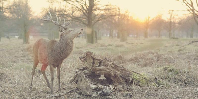 电子元器件检测的核心环节：环境测试、可靠性测试与认证全解析